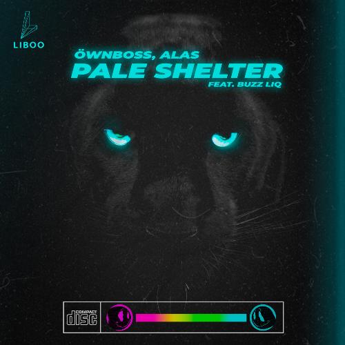 Pale Shelter (Extended)_poster_image