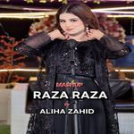 Raza Raza (Mashup)