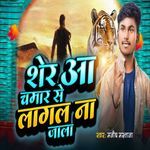 Sher Aa Chamar Se Lagal Na Jala