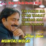 Thi Pakhi Ma Pyar Waray Shehar Mai Uddo Rahan