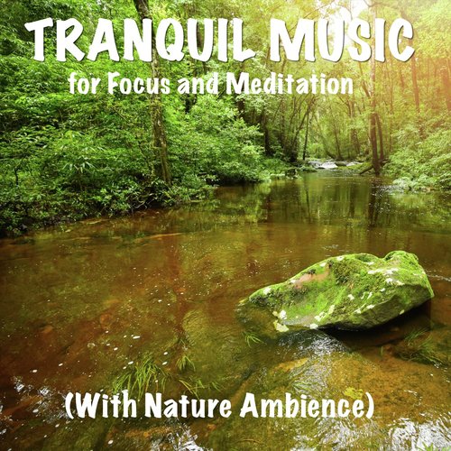 Tranquil Music for Focus and Meditation with Nature Ambience_poster_image