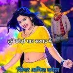 Tune chhodo yaar sarpat mein