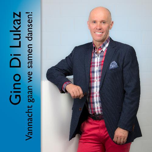 Vannacht Gaan We Samen Dansen