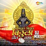 Vitthal Vitthal Vitthala Dhol Tasha DJ Mix