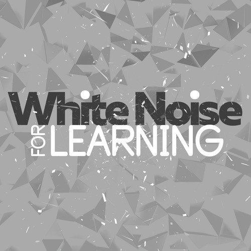 White Noise for Learning