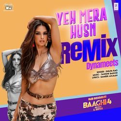 Yeh Mera Husn Remix(Remix By Dynameets)