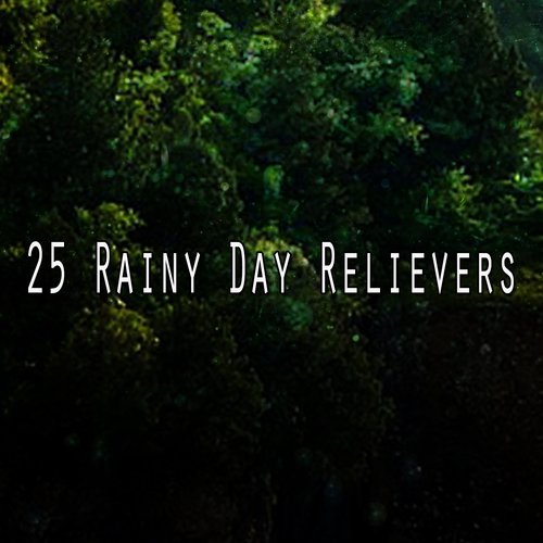 25 Rainy Day Relievers