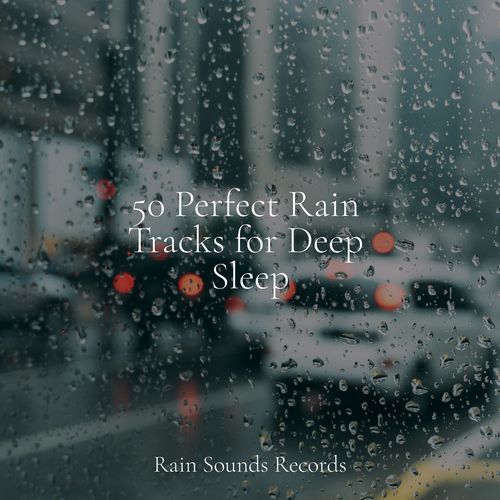 50 Perfect Rain Tracks for Deep Sleep