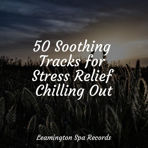 Sleep Music cover art