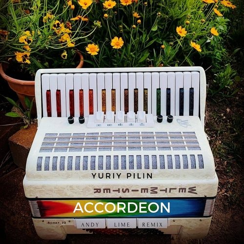 Accordeon (Andy Lime Remix) cover art