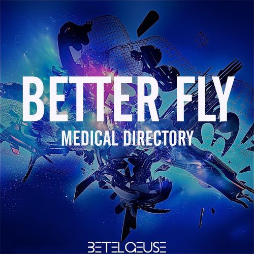 Better Fly