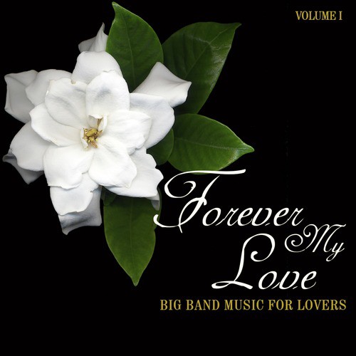 Big Band Music for Lovers: Forever My Love, Vol. 1