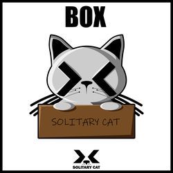 Box by Solitary Cat