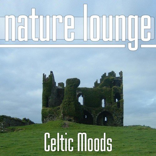 The Celtic Crystal cover art