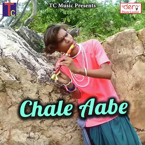 Chale Aabe_poster_image