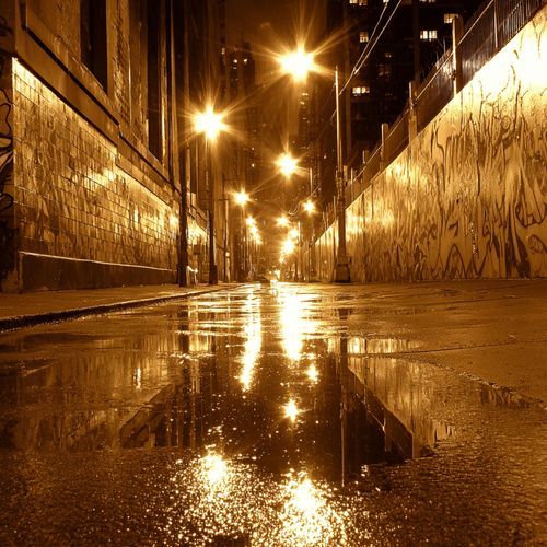Lose My Name cover art