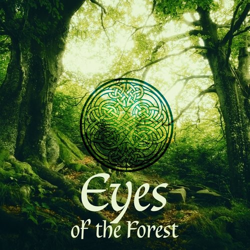 Celtic Spirit cover art