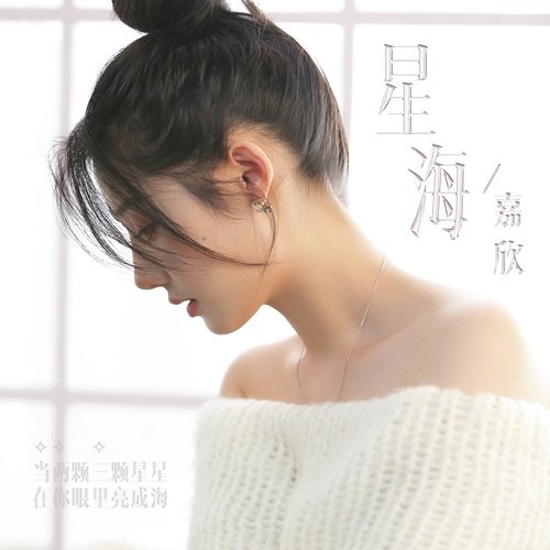 星海