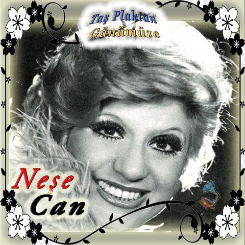 Rüzgar Kırdı Dalımı cover art