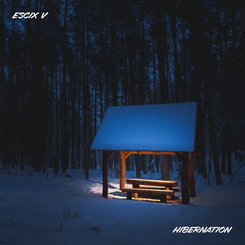 Hibernation cover art