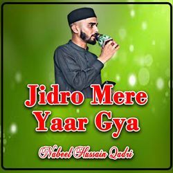 Jidro Mere Yaar Gya