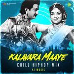 Kalavara Maaye - Chill HipHop Mix