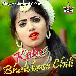 Koto Bhalobase Chili