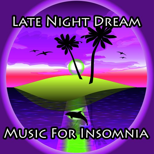 Late Night Dream Music For Insomnia