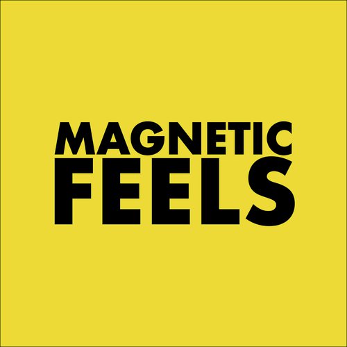 Magnetic Feels