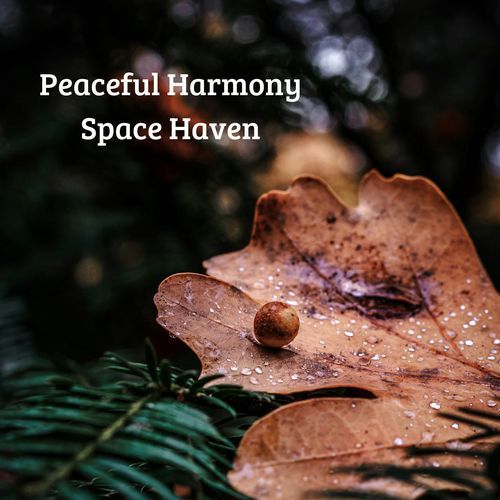 Peaceful Harmony Space Haven_poster_image