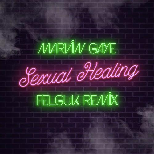 Sexual Healing (Felguk Remix)_poster_image