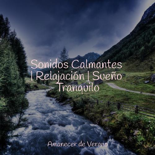Ecos del Viaje de la Victoria cover art