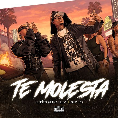 Te Molesta
