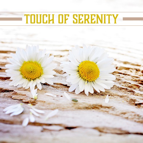Touch of Serenity (50 Most Relaxing & Soothing Sounds for Deep Zen Meditation, Asian Spa Massage, Yoga Exercises & Mindfulness)