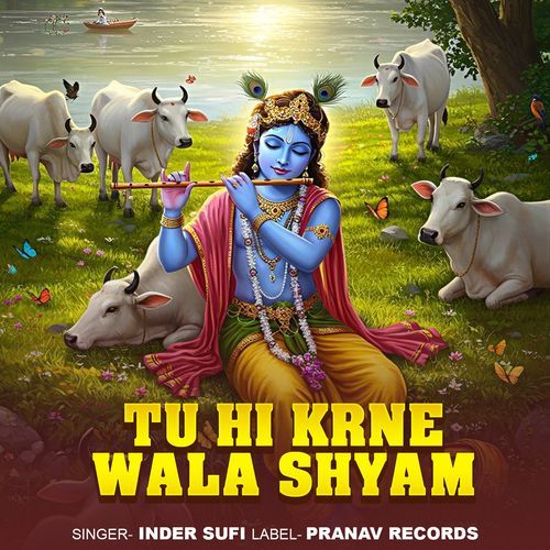 Tu Hi Krne Wala Shyam