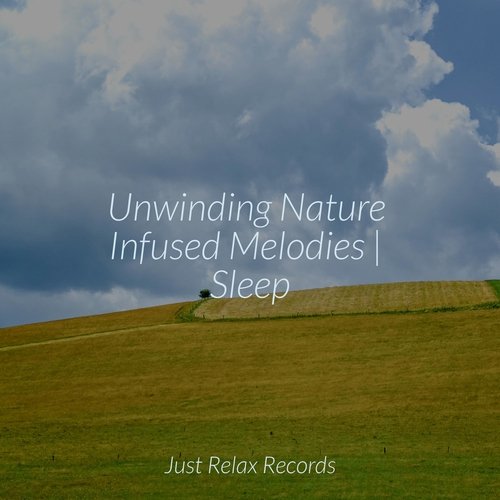 Unwinding Nature Infused Melodies | Sleep