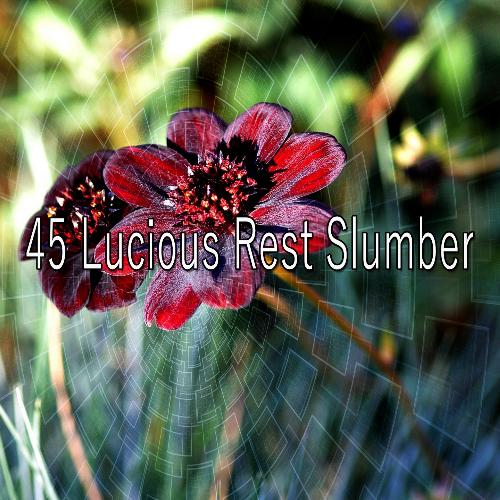 45 Lucious Rest Slumber