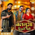 Balamua Dihale Gari DJ Remix