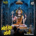 Bhole Tera Jogi