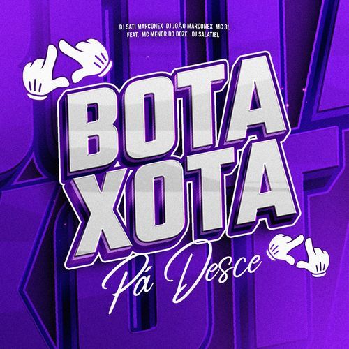 Bota Xota Pá Desce (feat. MC MENOR DO DOZE & DJ Salatiel)_poster_image