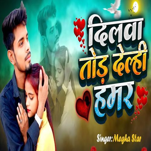 Dilwa Tor Delhi Hamar