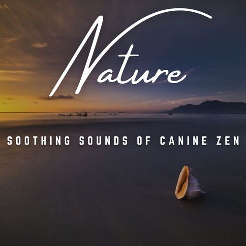 Dog's Zen Oasis: Soothing Melodies