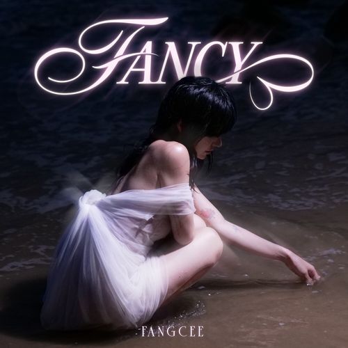 FANCY_poster_image