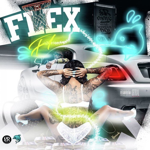 Flex_poster_image