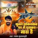 Ghar Me Ghuskar Mara Hai