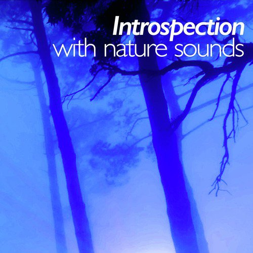 Introspection with Nature Sounds