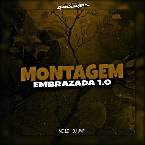 Montagem Embrazada 1.0_poster_image