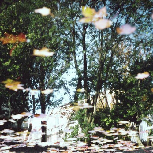 Desire To Fall (Original Mix) cover art