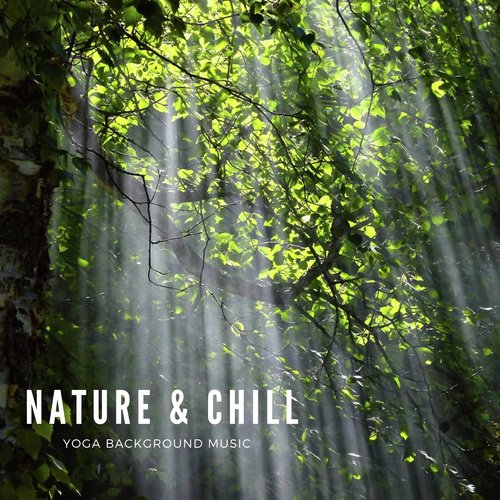 Restful Environment cover art