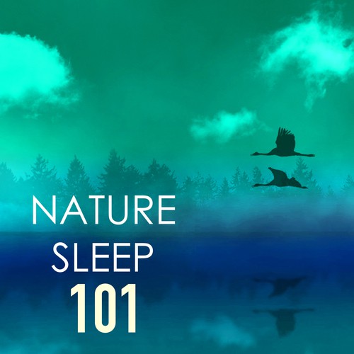 Sleep Cycle cover art